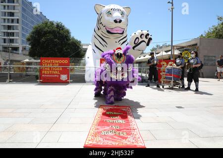 Sydney, Australia. 27th gennaio 2022. Chatswood Lunar New Year Festival celebra l'anno della Tigre con un programma di un mese che abbraccia commedia, arte, cibo e musica dal 27 gennaio al 20 febbraio 2022. Credit: Richard Milnes/Alamy Live News Foto Stock