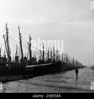 Pesca caratteristica a Grimsby, Lincolnshire. I pescherecci da traino colpiscono il molo. 12th aprile 1961. Foto Stock