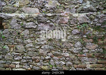 Primo piano di un muro composto da grandi pietre esposte con cemento grigio Foto Stock