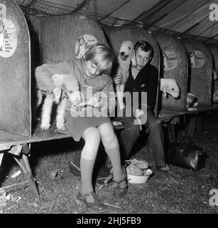 Questo terrier Bedlington ha guastato in come Jane Derbyshire, 9, di sale, Cheshire ha succhiato un ghiaccio-lolly allo spettacolo del cane a Stanley Park, Blackpool. Jane è un grande amante del cane, quindi non ha obiettato. 1961. Foto Stock