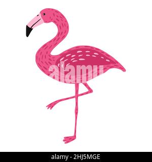 Flamingo in piedi su una gamba isolato su sfondo bianco. Cute di colore rosa uccello con collo lungo e gambe. Animale esotico dall'Africa. In stile doodle ve Illustrazione Vettoriale