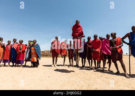 PARCO NAZIONALE DI AMBOSELI - 17 SETTEMBRE 2018: I guerrieri Masai in attirte tradizionale saltando durante un rituale Foto Stock