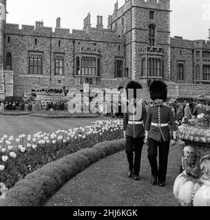 Diverse centinaia di persone sono andate oggi al Castello di Windsor per ascoltare le band che suonavano sulla terrazza dei Royal Apartments. La famiglia reale poteva essere vista attraverso le finestre, anche seduto ad ascoltare la musica. Iniziarono giocando a "Happy Birthday" per celebrare il compleanno della Regina. 21st aprile 1957. Foto Stock