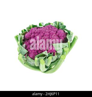 Cavolfiore viola isolato su sfondo bianco, Salva tracciato di ritaglio. Foto Stock