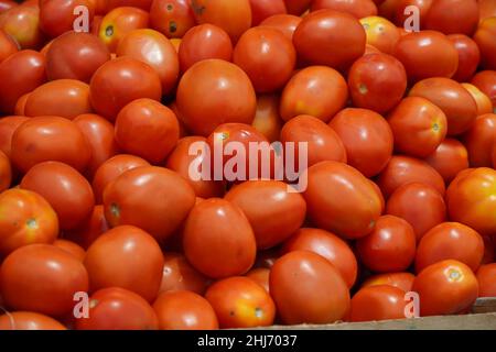 Grappoli di pomodori rossi maturi che si trovano in una scatola di frutta pronta per la vendita al mercato agricolo. Pomodoro con fondo coda. Primo piano di un mazzo di rosso maturo Foto Stock