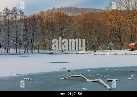 Inverno nel parco con lago ghiacciato in Ucraina Foto Stock