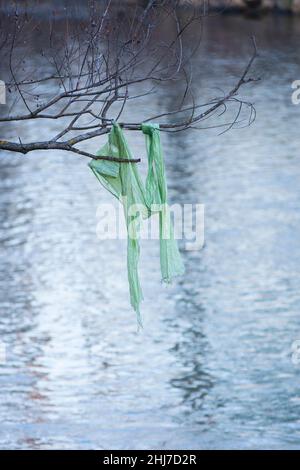 Italia, Lombardia, plastica verde catturata in rami di albero Foto Stock