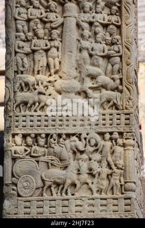 Stupa No 1, South Gateway, Left Pillar Front Face, Panel 2: Visita di Ashoka a Stupa. Pannello 1 : Dharma Chakra sul pilastro. Sito Patrimonio dell'Umanità, Sanchi, M. Foto Stock