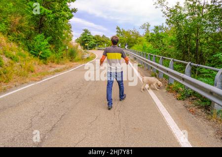 Giovane uomo che cammina sulla strada un cane bianco di un lagotto-Romagnolo si alleva attraverso gli alberi e il cielo. Camminare il cane nel parco. Foto Stock