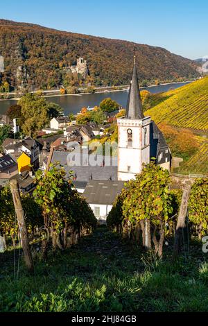 Piccola città con vigneti ad un fiume con castello, Rheingau / Germania Foto Stock