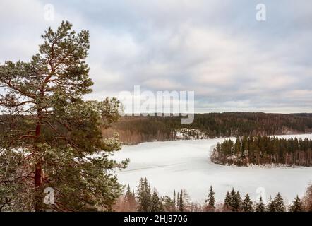 Inverno nel Parco Naturale Aulanco. Lago della Foresta in una nuvolosa giornata invernale. Hämeenlinna, Finlandia Foto Stock