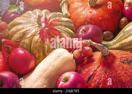 Аutumn la natura morta agricola dalla raccolta di frutta e verdura, fuoco selettivo, posa piatta, vista dall'alto Foto Stock