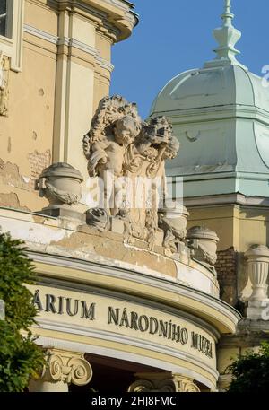 Statua al Museo Nazionale – Lapidario (Narodni muzeum – Lapidarium) a Praga, Repubblica Ceca Foto Stock