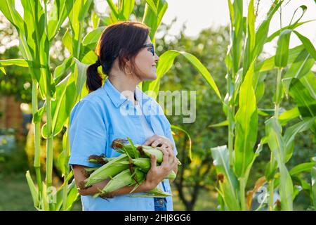 Donna con pannocchie di mais mature nelle mani Foto Stock