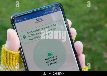 Londra, UK, 27 gennaio 2022: L'app NHS Test and Trace visualizza una notifica su un telefono cellulare che informa il proprietario che l'Inghilterra è passata alle politiche del piano A. "Fare attenzione a proteggere se stessi e gli altri" è il messaggio. Anche se il governo ora dice che le maschere facciali non sono necessarie negli spazi pubblici, molti negozi chiedono alla gente di continuare a farlo per mantenere il personale al sicuro. Anna Watson/Alamy Live News Foto Stock