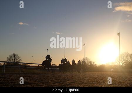 Corridori e cavalieri in azione durante la Betway handicap all'ippodromo di Newcastle. Data foto: Giovedì 27 gennaio 2022. Foto Stock