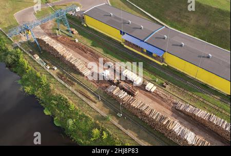 Camion di legname che scarica un albero tagliato in stabilimento di lavorazione del legno. Trasporto del legname grezzo dal sito di abbattimento. Gru a gantry carica tronchi per laminatoio di legname Foto Stock