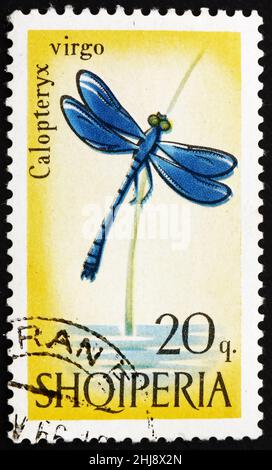 ALBANIA - CIRCA 1966: Un francobollo stampato in Albania mostra Blue Dragonfly, Calopteryx Virgo, circa 1966 Foto Stock