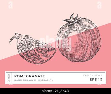 Illustrazione di Vector Pomegranate disegnata a mano. Disegno alimentare a base di piante vegane con sfondo colorato isolato Illustrazione Vettoriale