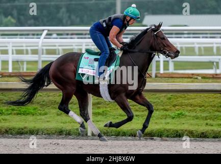 Hallandale Beach, Florida, Stati Uniti. 27th Jan 2022. 27 gennaio 2022: Wakanaka si esercita durante la settimana di allenamento della Coppa del mondo Pegasus al Gulfstream Park di Hallandale Beach, Florida. Scott Serio/Eclipse Sportswire/CSM/Alamy Live News Foto Stock