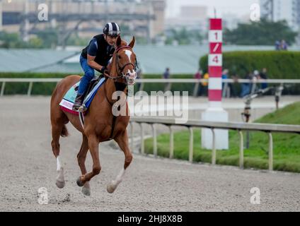 Hallandale Beach, Florida, Stati Uniti. 27th Jan 2022. 27 gennaio 2022: Esercizi bipartisanship durante la settimana di allenamento della Coppa del mondo Pegasus al Gulfstream Park di Hallandale Beach, Florida. Scott Serio/Eclipse Sportswire/CSM/Alamy Live News Foto Stock