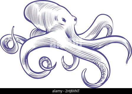 Schizzo del polpo. Animale profondo dell'acqua dell'oceano con tentacoli Illustrazione Vettoriale