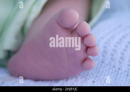 piede piccolo del neonato Foto Stock