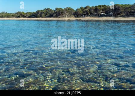 Vista generale della spiaggia di Estanys, nella località turistica di Mallorcan di Colonia de Sant Jordi, in una giornata di sole Foto Stock