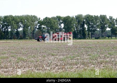 Raccolta di cipolle con attrezzature agricole moderne in campo, sfondo sfocato Foto Stock