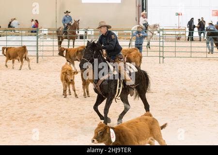 Mostra di gruppo di un lavoro di taglio occidentale a madrid Horse Week 2019 Foto Stock