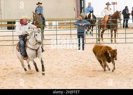 Mostra di gruppo di un lavoro di taglio occidentale a madrid Horse Week 2019 Foto Stock