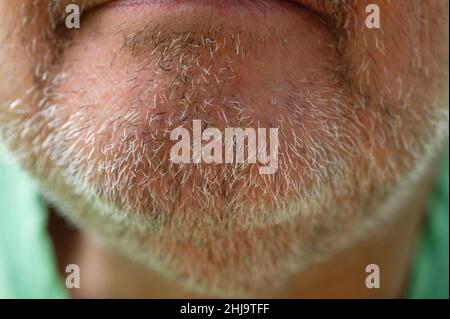 Un paio di giorni la crescita della barba o la barba è raffigurata sul mento di un uomo di mezza età. Foto Stock