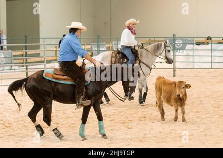 Mostra di gruppo di un lavoro di taglio occidentale a madrid Horse Week 2019 Foto Stock