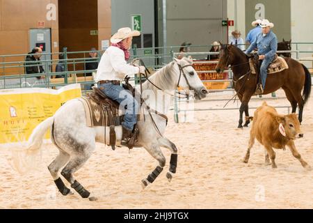 Mostra di gruppo di un lavoro di taglio occidentale a madrid Horse Week 2019 Foto Stock