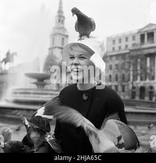 Quando Dorothy Provine 'rosa' arrivò oggi a Londra, voleva vedere la città e fare un po' di gommoni alle famose attrazioni turistiche. L'attrice americana era più che accolta dai piccioni in Trafalgar Square. 22nd maggio 1962. Foto Stock