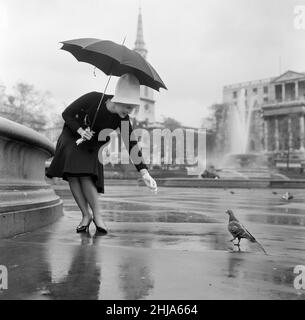 Quando Dorothy Provine 'rosa' arrivò oggi a Londra, voleva vedere la città e fare un po' di gommoni alle famose attrazioni turistiche. L'attrice americana era più che accolta dai piccioni in Trafalgar Square. 22nd maggio 1962. Foto Stock