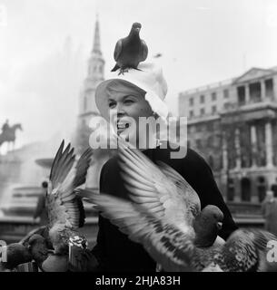 Quando Dorothy Provine 'rosa' arrivò oggi a Londra, voleva vedere la città e fare un po' di gommoni alle famose attrazioni turistiche. L'attrice americana era più che accolta dai piccioni in Trafalgar Square. 22nd maggio 1962. Foto Stock