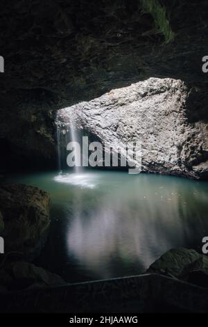 Cascate Natural Bridge, Gold Coast Hinterland, Australia Foto Stock