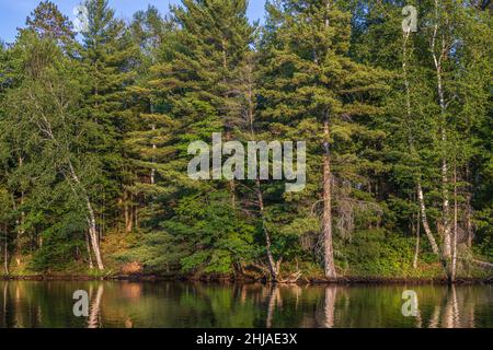 Il Flowage di Chippewa nel Wisconsin settentrionale. Foto Stock