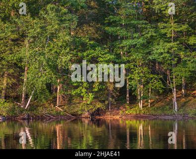 Il Flowage di Chippewa nel Wisconsin settentrionale. Foto Stock