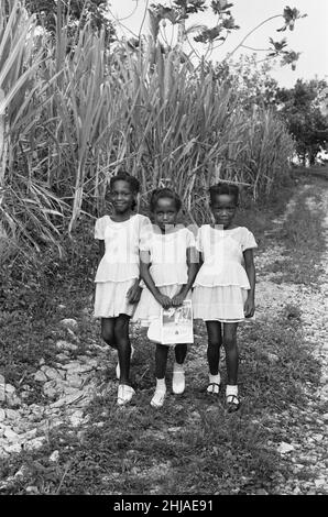 Tre ragazze di Maroon visto qui di ritorno dalla scuola a St Elizabeth, Giamaica 15th agosto 1962 Foto Stock