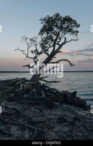 Lago Weyba, Sunshine Coast, Australia Foto Stock