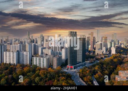 Toronto Skyline con alberi che circondano il paesaggio urbano Foto Stock