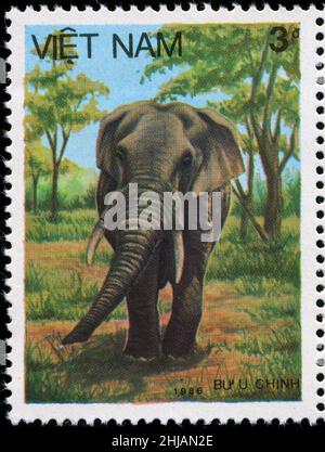 Francobollo dal Vietnam nella serie Asian Elephant (1987) Foto Stock