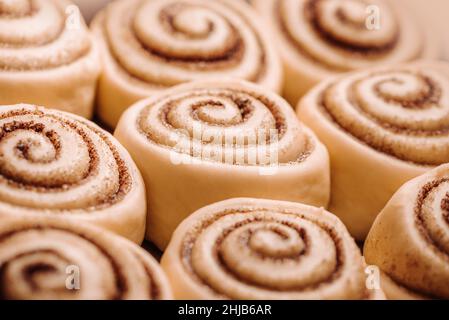 Dolci alla cannella cruda o cinnabon da vicino, dolci alla cannella cruda pronti per la cottura. Dolci panini da dessert tradizionali Foto Stock