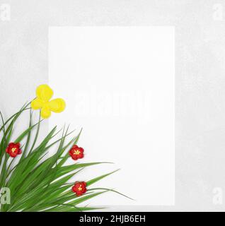 Erba verde decorativa artificiale, fiori rossi, farfalla gialla con carta bianca bianca vuota. Carino sfondo primavera o estate cornice. Spazio di copia Foto Stock