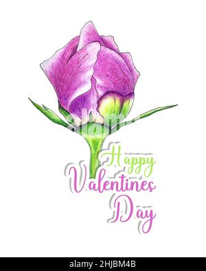 Buon giorno San Valentino germogli di peonia e adesivi scritte per tutti gli amanti, disegno a matita a mano, schizzo, cartolina, sfondo bianco. Illustrazione vettoriale Illustrazione Vettoriale