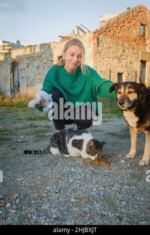 Donna che alimenta gatto di strada e cane. Foto Stock