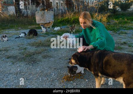 Donna che alimenta gatto di strada e cane. Foto Stock