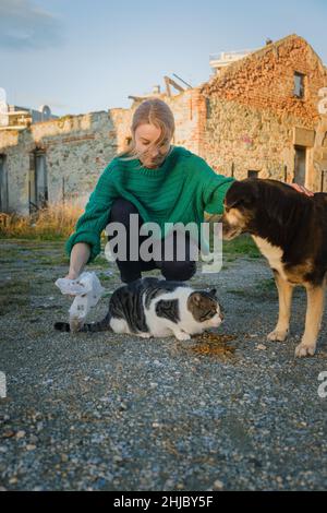 Donna che alimenta gatto di strada e cane. Foto Stock